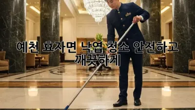 예천 효자면 낙엽 청소: 안전하고 깨끗하게!