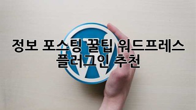 정보 포스팅 꿀팁🍯 워드프레스 플러그인 추천!