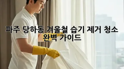 파주 당하동 겨울철 습기 제거 청소 완벽 가이드