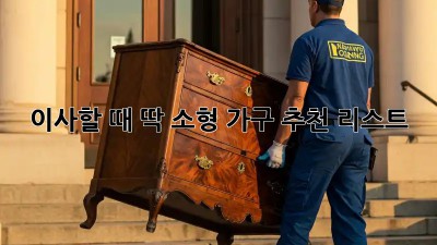이사할 때 딱! 소형 가구 추천 리스트