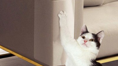 냥이 침입 🚫 절대! 핵꿀팁 고양이 방지템 후기 & 할인 정보 🎁